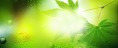 banner1